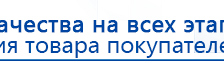 ДЭНАС-ПКМ (Детский доктор, 24 пр.) купить в Балашове, Аппараты Дэнас купить в Балашове, Дэнас официальный сайт denasolm.ru
